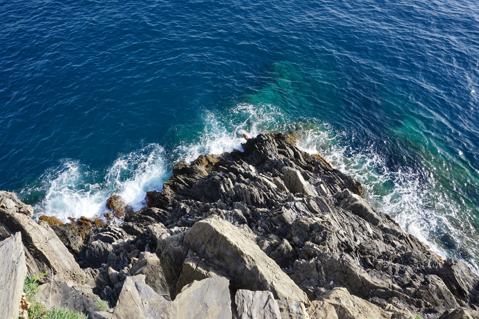 Waves on the coastline